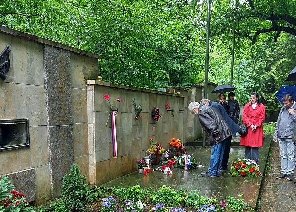 vokovice_u_zdi_1.jpg